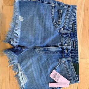 Wild Fable Light Blue Frayed Jean Shorts